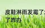 皮鞋淋雨发霉了怎么办 皮鞋淋雨发霉了咋办
