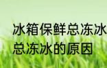 冰箱保鲜总冻冰是怎么回事 冰箱保鲜总冻冰的原因