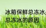 冰箱保鲜总冻冰是怎么回事 冰箱保鲜总冻冰的原因